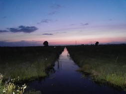 Avon Paranormal Team - The Sedgemoor Battlefield